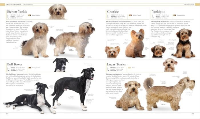 The Dog Encyclopedia (DK Pet Encyclopedias)