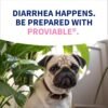 Proviable Digestive Health Supplement Kit with Multi-Strain Probiotics and Prebiotics for Medium to Large Dogs - with 7 Strains of Bacteria, 30 mL Paste and 10 Capsules - Image 12