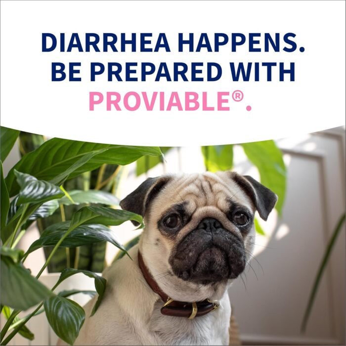 Proviable Digestive Health Supplement Kit with Multi-Strain Probiotics and Prebiotics for Medium to Large Dogs - with 7 Strains of Bacteria, 30 mL Paste and 10 Capsules