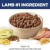 Hill's Science Diet Adult 1-6, Adult 1-6 Premium Nutrition, Dry Dog Food, Lamb & Brown Rice, 33 lb Bag