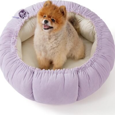 Lesure Dog beds for Small Dogs - Washable Cute Cat Beds with Versatile Dual-Use Design, Reversible Round Pet Bed for Puppy and Kitten, 25x25x8 Inches