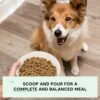 Open Farm, Grain-Free Dry Dog Food, Complete & Balanced Kibble, Sustainably & Ethically Sourced Ingredients, Non-GMO Veggies & Superfoods to Support Overall Health, Turkey and Chicken Recipe, 22lb Bag - Image 2