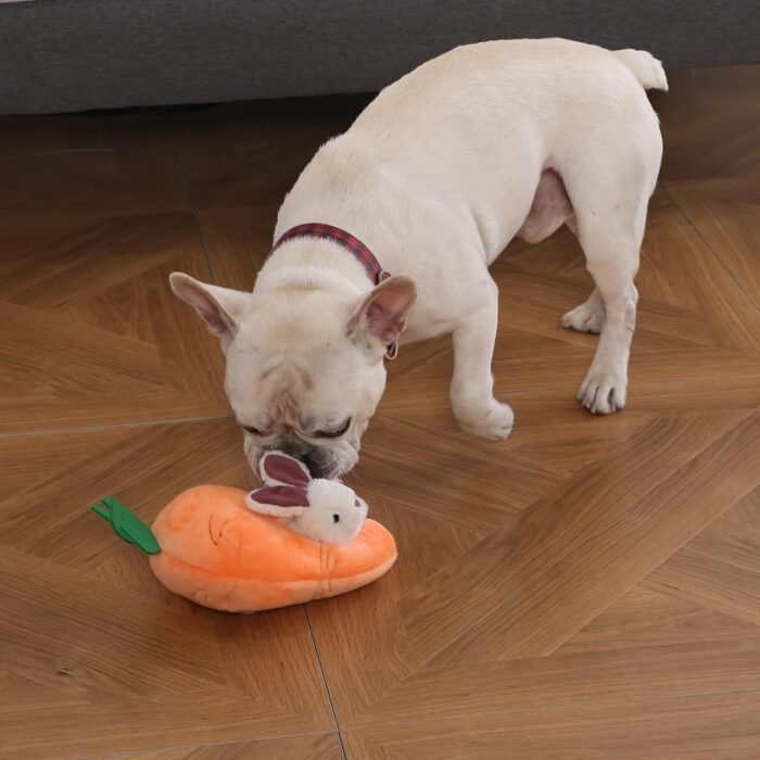 Amazon Basics Hide and Seek Squeaky Dog Plush Toy, Rabbit and Carrot, Orange and White, 5 Pack