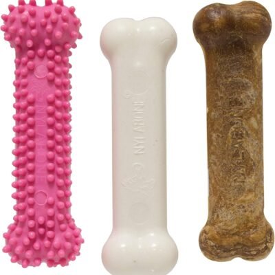Nylabone Puppy Chew Toys & Natural Treat Triple Pack, Pink, Chicken & Bacon Flavor, Small - Up to 25 Ibs, 3 Pack