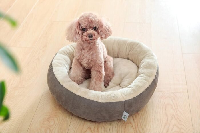 Love's cabin Round Donut Cat and Dog Cushion Bed, 20in Bed for Cats or Small Dogs, Anti-Slip & Water-Resistant Bottom, Super Soft Durable Fabric Pet Beds, Washable Luxury Cat & Dog Bed Gray
