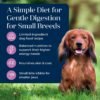 Blue Buffalo Basics Dry Dog Food for Small Breed Adult Dogs, Limited Ingredient Diet, Turkey Recipe, 11-lb. Bag - Image 3