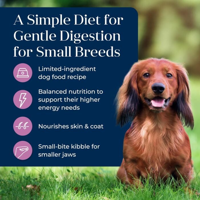 Blue Buffalo Basics Dry Dog Food for Small Breed Adult Dogs, Limited Ingredient Diet, Turkey Recipe, 11-lb. Bag