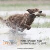SportDOG Brand FieldTrainer 425XS Remote Training Dog Collar, E Collar for Stubborn Dogs - Waterproof, Submersible Up to 25 Feet, Rechargeable Dog Training Collar with Remote Shock, Vibrate, and Tone - Image 6