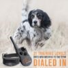 SportDOG Brand FieldTrainer 425XS Remote Training Dog Collar, E Collar for Stubborn Dogs - Waterproof, Submersible Up to 25 Feet, Rechargeable Dog Training Collar with Remote Shock, Vibrate, and Tone - Image 2