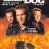 Black Dog