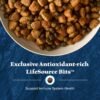 Blue Buffalo Wilderness Adult High-Protein Dry Dog Food Natural Salmon WITH WHOLESOME GRAINS - Image 6