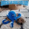 LEGEND SANDY Tough Dog Toys, Stuffed Dog Chew Toys, Large Dog Toys to Keep Them Busy, Interactive Dog Toys, Squeaky Dog Toys, Tug of War Dog Toy, Crinkle Dog Toy (Blue Octopus) - Image 8