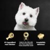 CESAR Adult Wet Dog Food Classic Loaf in Sauce Grilled Chicken Flavor, 3.5 oz. Easy Peel Trays (24 Count, Pack of 1) - Image 6