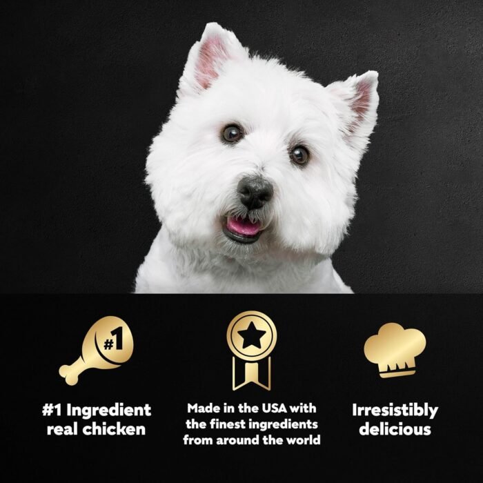 CESAR Adult Wet Dog Food Classic Loaf in Sauce Grilled Chicken Flavor, 3.5 oz. Easy Peel Trays (24 Count, Pack of 1)