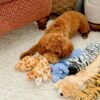 Squeaky No Stuffing Dog Toy Set – New & Improved Edition Plush Crinkle Dog Toys for Small, Medium & Large Breeds – Soft Tough Stuffless Puppy Chew Squeak Animal Supports Pet Health & Well Being 5 Pack - Image 5