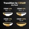 CESAR Small Breed Dry Dog Food Rotisserie Chicken Flavor and Spring Vegetables Garnish, 12 lb. Bag - Image 8
