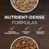 Purina ONE True Instinct Tender Cuts in Gravy With Real Turkey and Venison, and With Real Chicken and Duck High Protein Wet Dog Food Variety Pack - (Pack of 12) 13 oz. Cans - Image 3