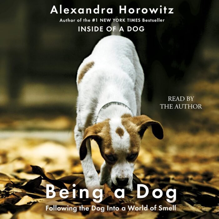 Being a Dog