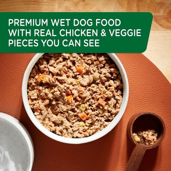 Rachael Ray Nutrish Premium Pate Real Chicken & Apple Recipe Wet Dog Food, 13 oz. Can (Pack of 12)