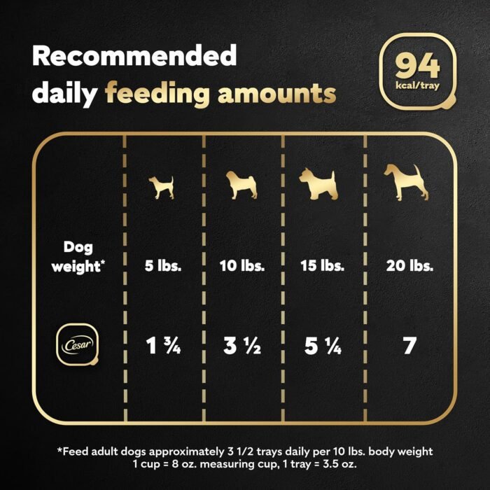 CESAR Filets in Gravy Adult Wet Dog Food, Filet Mignon Flavor, 3.5 oz. Easy Peel Trays, Pack of 24