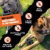 Monster K9 Indestructible Ring Ball - Lifetime Replacement - Medium & Large Breeds - Ultra Durable Dog Toy for Aggressive Chewers - Chew, Tug, & Fetch - 5.5" - Image 8