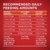 Purina ONE Plus Healthy Weight High-Protein Dog Food Dry Formula - 8 lb. Bag - Image 12