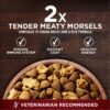 Purina ONE True Instinct With Real Salmon and Tuna Natural With Added Vitamins, Minerals and Nutrients High Protein Dog Food Dry Formula - 36 lb. Bag - Image 2