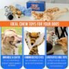 Squeaky No Stuffing Dog Toy Set – New & Improved Edition Plush Crinkle Dog Toys for Small, Medium & Large Breeds – Soft Tough Stuffless Puppy Chew Squeak Animal Supports Pet Health & Well Being 5 Pack - Image 2