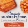 Natural Balance Limited Ingredient Adult Grain-Free Dry Dog Food, Salmon & Sweet Potato Recipe, 24 Pound (Pack of 1) - Image 7