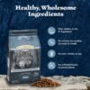 Blue Buffalo Wilderness Adult High-Protein Dry Dog Food Wholesome Grains Natural Ingredients - Image 5