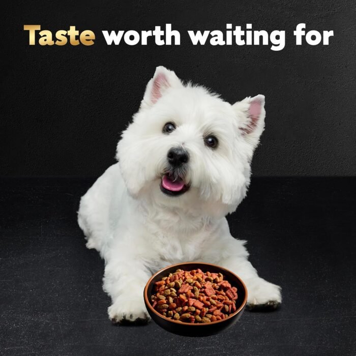 CESAR Small Breed Dry Dog Food Rotisserie Chicken Flavor and Spring Vegetables Garnish, 12 lb. Bag