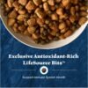 Blue Buffalo Wilderness Rocky Mountain High-Protein Adult Dry Dog Food Wholesome Grains Red Meat, 24lb. Bag - Image 7