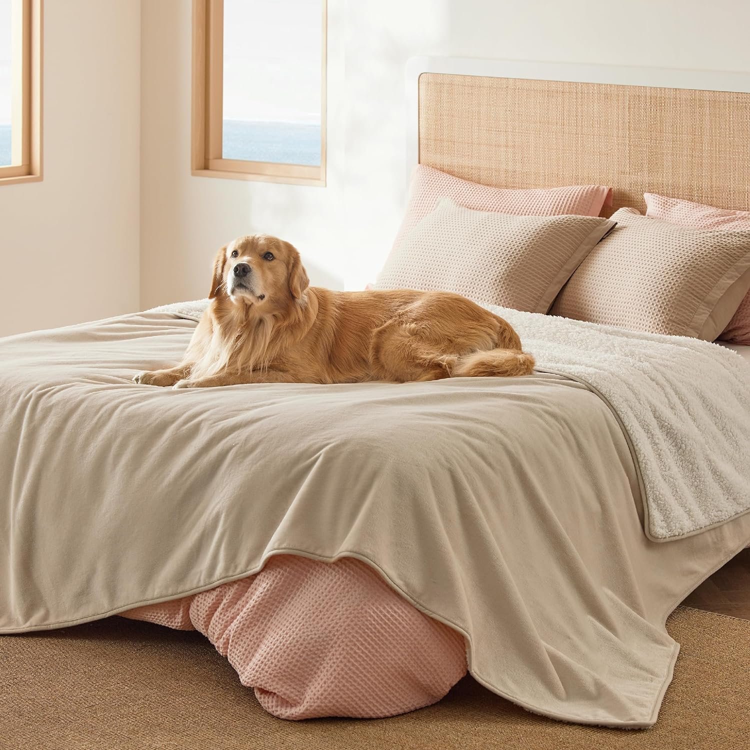 Bedsure Waterproof Blanket for Bed – Sherpa Fleece Waterproof Dog Blankets for Large Dogs, Pet Blankets for Bed/Couch/Dog Crate, Soft Plush Reversible Furniture Protector, Queen Size, 90″x86″, Cream