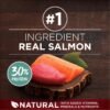 Purina ONE True Instinct With Real Salmon and Tuna Natural With Added Vitamins, Minerals and Nutrients High Protein Dog Food Dry Formula - 36 lb. Bag - Image 3
