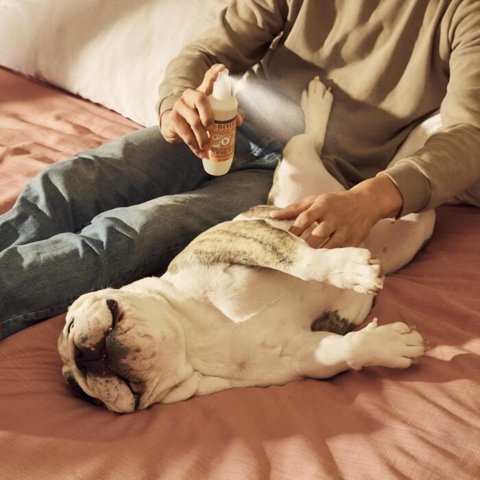 MRS. MEYER'S CLEAN DAY Dog Deodorizing Spray, White Peach Scent, 8oz