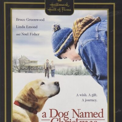 A Dog Named Christmas DVD (Hallmark Hall of Fame)