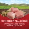 Purina ONE Chicken and Rice Formula Dry Dog Food - 16.5 lb. Bag - Image 2