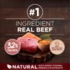 Purina ONE Natural High Protein Dry Dog Food Dry True Instinct with Real Beef and Salmon With Bone Broth and Added Vitamins, Minerals and Nutrients - 15 lb. Bag - Image 3