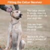 SportDOG Brand FieldTrainer 425XS Remote Training Dog Collar, E Collar for Stubborn Dogs - Waterproof, Submersible Up to 25 Feet, Rechargeable Dog Training Collar with Remote Shock, Vibrate, and Tone - Image 5