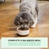 Open Farm, Ancient Grains Dry Dog Food for Small Breeds, Protein-Rich & Nutrient Dense, 90% Animal Protein with Non-GMO Fruits, Veggies and Superfoods, Chicken & Turkey Recipe for Small Dogs, 4lb Bag - Image 4