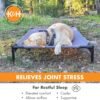 K&H Pet Products Outdoor Elevated Dog Cot, Breathable Cooling Elevated Cot Hammock Pet Bed for Large Dogs, Washable Mesh Cover, Raised Metal Frame, Collapsible, Portable - Large 42 X 30in Gray