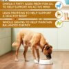 Rachael Ray Nutrish Chunks in Gravy Wet Dog Food Variety Pack, 13 Ounce (Pack of 12) - Image 5