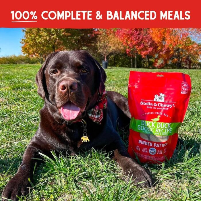 Stella & Chewy's Freeze Dried Raw Dinner Patties – Grain Free Dog Food, Protein Rich Duck Duck Goose Recipe – 25 oz Bag