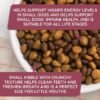 Rachael Ray Nutrish Little Bites Small Breed Natural Premium Dry Dog Food, Real Chicken & Veggies Recipe, 14 Lbs