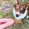 Wellness Old Mother Hubbard Original Mix Dog Biscuits, Natural, Training Treats, Four Flavors, Small Size, (6 Pound Bag) - Image 3