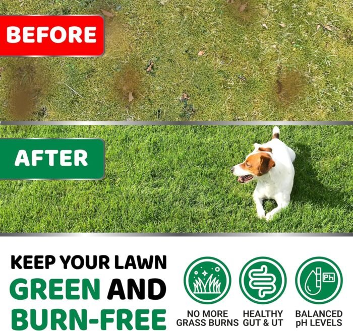Dog Urine Neutralizer for Lawn - 170 Chews - Advanced Grass Green Savers for Dog Urine - Canine Pee Grass Neutralizer Supplement - Green Lawn Treats with Probiotics and Digestive Enzymes