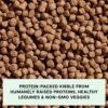 Open Farm, Grain-Free Dry Dog Food, Complete & Balanced Kibble, Sustainably & Ethically Sourced Ingredients, Non-GMO Veggies & Superfoods to Support Overall Health, Turkey and Chicken Recipe, 22lb Bag - Image 4