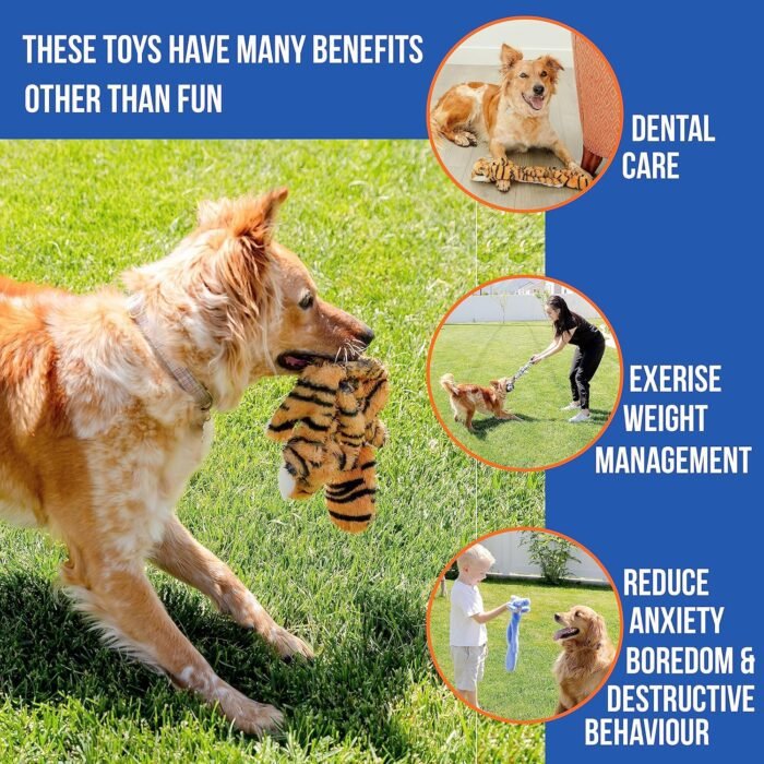 Squeaky No Stuffing Dog Toy Set – New & Improved Edition Plush Crinkle Dog Toys for Small, Medium & Large Breeds – Soft Tough Stuffless Puppy Chew Squeak Animal Supports Pet Health & Well Being 5 Pack