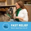 Capstar(nitenpyram) for Dogs Fast-Acting Oral Flea Treatment for Dogs 2-25 lbs, Vet-Recommended Medication Tablets Start Killing in 30 Minutes, 6 Doses - Image 5