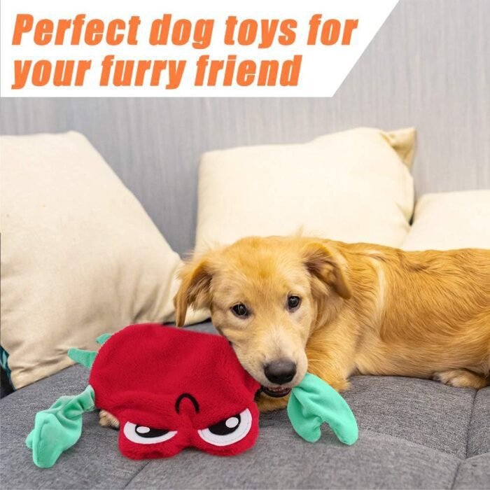 Dog Toys No Stuffing, 5 Pack Dog Squeaky Toys Durable Dog Chew Toy Set for Puppy Small Medium Large Dog